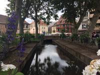 443_Colmar &ndash; &copy; Birgit Janosch (Eberhardt TRAVEL)