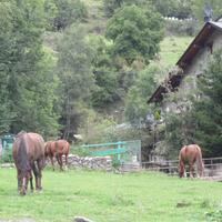 Os de Civis &ndash; &copy; Barbara Mihut (Eberhardt TRAVEL)