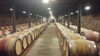 Weinmuseum &ndash; &copy; Gerd Przybyla (Eberhardt TRAVEL)