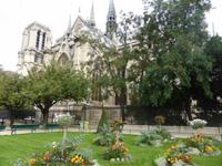 Notre Dame de Paris &ndash; &copy; Claudia Bernhardt (Eberhardt TRAVEL)