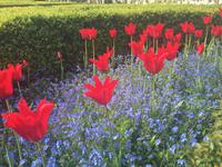 Villandry &ndash; &copy; Birgit Janosch (Eberhardt TRAVEL)
