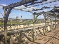 Villandry &ndash; &copy; Birgit Janosch (Eberhardt TRAVEL)