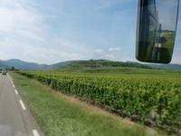 Elsass, Weinstraße &ndash; &copy; Peter Großer (Eberhardt TRAVEL)