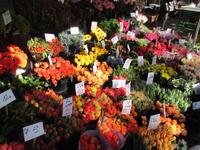 Markt &ndash; &copy; Petra Sauer (Eberhardt TRAVEL)