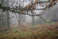 Hier sind Mouflons versteckt &ndash; &copy; Sophie Hof (Eberhardt TRAVEL)