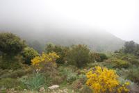 Im Alta Rocca &ndash; &copy; Sophie Hof (Eberhardt TRAVEL)