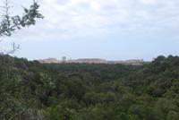 Blick auf Bonifacio &ndash; &copy; Sophie Hof (Eberhardt TRAVEL)
