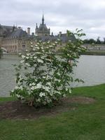 Schloss Chantilly &ndash; &copy; Beate Schroedter (Eberhardt TRAVEL)