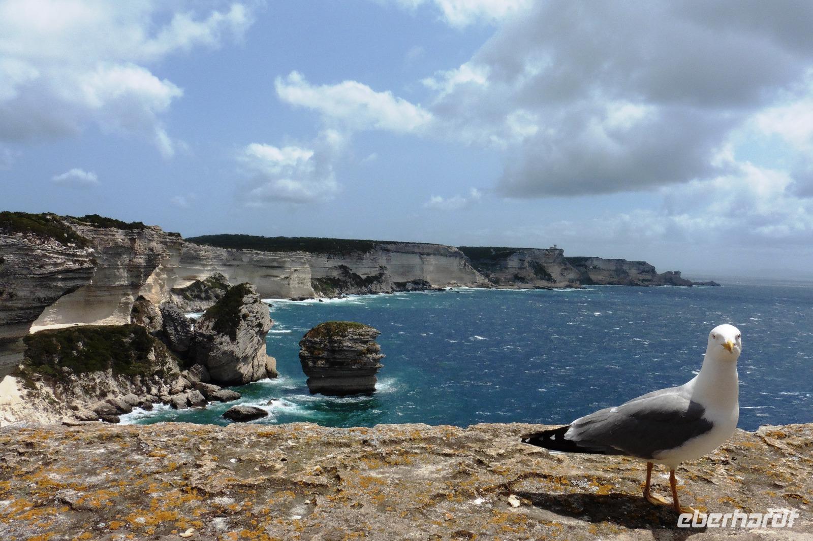 Bonifacio &ndash; &copy; Sandra Winkler (Eberhardt TRAVEL)