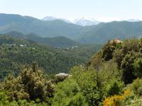 Castagniccia &ndash; &copy; Sandra Winkler (Eberhardt TRAVEL)