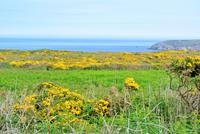 Point du Raz &ndash; &copy; Gerd Przybyla (Eberhardt TRAVEL)