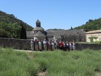 070. Gruppenfoto bei Sénanque &ndash; &copy; Sophie Hof (Eberhardt TRAVEL)