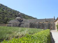 071. Sénanque &ndash; &copy; Sophie Hof (Eberhardt TRAVEL)