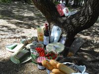 073. Picknick &ndash; &copy; Sophie Hof (Eberhardt TRAVEL)