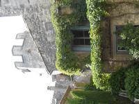 110. Saint Remy de Provence &ndash; &copy; Sophie Hof (Eberhardt TRAVEL)