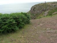 Cap Frehel &ndash; &copy; Beate Schroedter (Eberhardt TRAVEL)