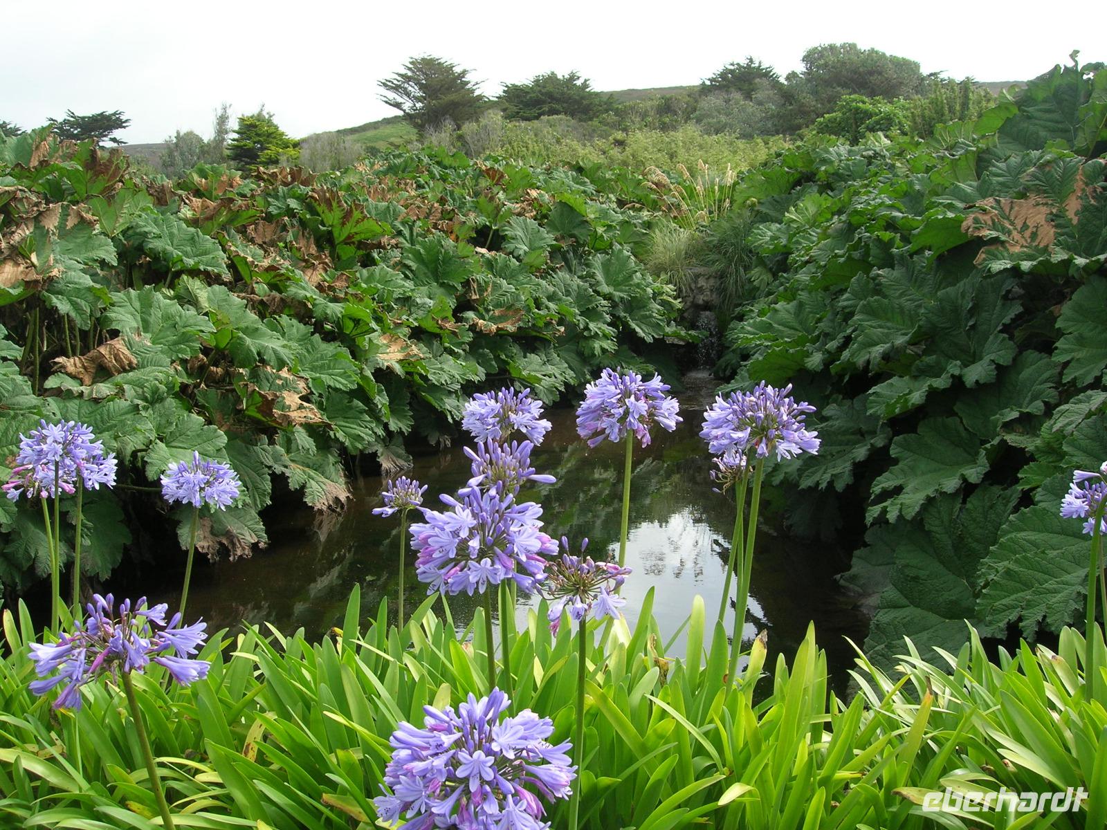 Jardin Botanique de Vauville &ndash; &copy; Beate Schroedter (Eberhardt TRAVEL)