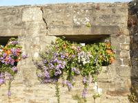 Concarneau 2 &ndash; &copy; Margret van Blokland (Eberhardt TRAVEL)