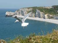 Etretat &ndash; &copy; Claudia Bernhardt (Eberhardt TRAVEL)