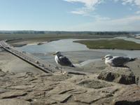 Bucht von Mont Saint Michel - Mündung des Couesnon &ndash; &copy; Claudia Bernhardt (Eberhardt TRAVEL)