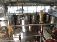 104 Weingut Patrimonio &ndash; &copy; Stefanie Schneider (Eberhardt TRAVEL)