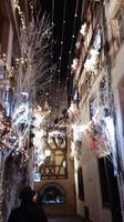 Strassburg  &ndash; &copy; Ingrid Langer (Eberhardt TRAVEL)