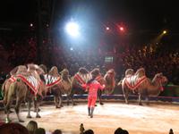 410-Festival International de Montecarlo &ndash; &copy; Cipriano Ramos Ruiz (Eberhardt TRAVEL)