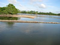 Loire  - stromaufwärts &ndash; &copy; Roswitha Zytowski (Eberhardt TRAVEL)