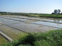 Salinen von Guérande &ndash; &copy; Roswitha Zytowski (Eberhardt TRAVEL)