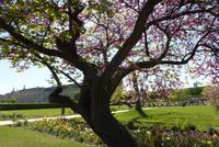 Tuileriengarten &ndash; &copy; Gabriele Sauer (Eberhardt TRAVEL)