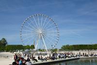Tuileriengarten &ndash; &copy; Gabriele Sauer (Eberhardt TRAVEL)