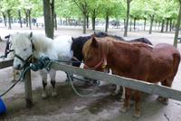 Jardin de Luxembourg &ndash; &copy; Gabriele Sauer (Eberhardt TRAVEL)