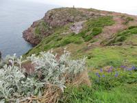 Cap Frehel &ndash; &copy; Jürgen Schmeißer (Eberhardt TRAVEL)