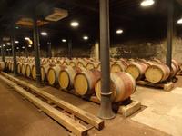 Weinmuseum 