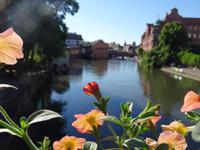 Strasbourg - Blumenschmuck &ndash; &copy; Hans-Joachim Trutz (Eberhardt TRAVEL)
