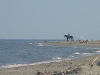 Strand Lucciana &ndash; &copy; Kerstin Langner (Eberhardt TRAVEL)