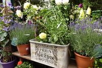 Blumenmarkt (2) &ndash; &copy; Gabriele Sauer (Eberhardt TRAVEL)