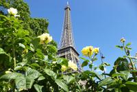 Eiffelturm (9) &ndash; &copy; Gabriele Sauer (Eberhardt TRAVEL)