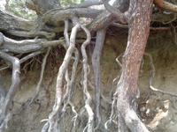 Engolasters See &ndash; &copy; Barbara Mihut (Eberhardt TRAVEL)