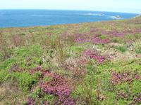 Cap Sizun &ndash; &copy; Beate Schroedter (Eberhardt TRAVEL)