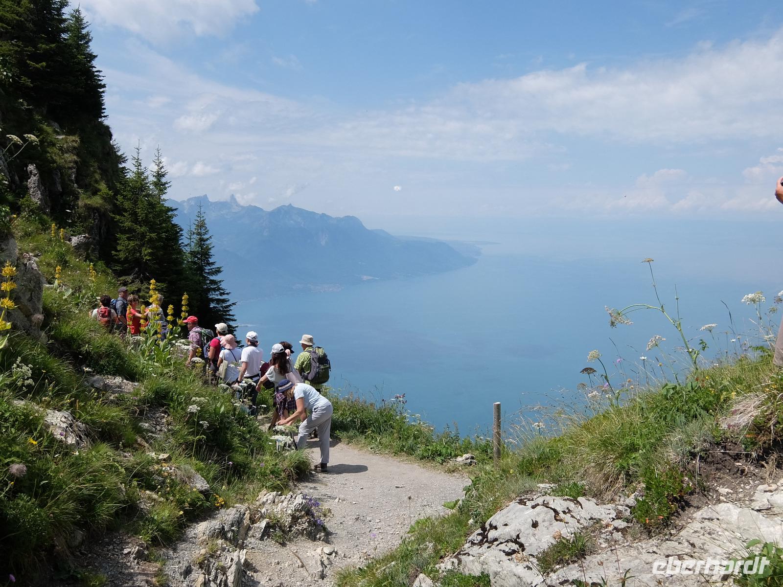 Les Rochers de la Naye. Wandergruppe (W) &ndash; &copy; Peter Großer (Eberhardt TRAVEL)