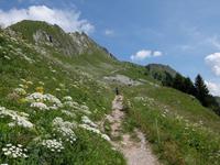 Les Rochers de la Naye. Wandergruppe (W) &ndash; &copy; Peter Großer (Eberhardt TRAVEL)