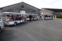 Besuch bei Rémy Martin (13) &ndash; &copy; Gabriele Sauer (Eberhardt TRAVEL)