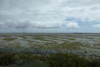 Passage de Gois bei Ebbe (2) &ndash; &copy; Gabriele Sauer (Eberhardt TRAVEL)
