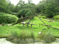 Parc Paysager et Zoologique de Champrépus &ndash; &copy; Beate Schroedter (Eberhardt TRAVEL)