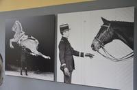Reitschule Cadre Noir &ndash; &copy; Roswitha Zytowski (Eberhardt TRAVEL)