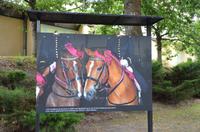 Reitschule Cadre Noir &ndash; &copy; Roswitha Zytowski (Eberhardt TRAVEL)