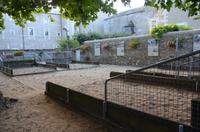 Boule-Plätze in Saint Florent le Viel &ndash; &copy; Roswitha Zytowski (Eberhardt TRAVEL)
