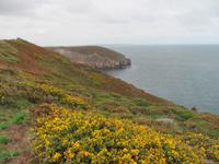 Cap Frehel &ndash; &copy; Maite Floris-Moser (Eberhardt TRAVEL)