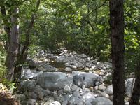Restonica Schlucht &ndash; &copy; Christina Schlawis (Eberhardt TRAVEL)